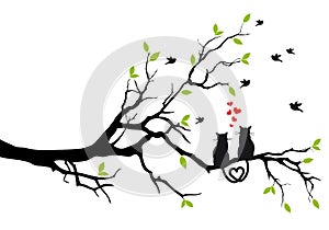 Cats in love on tree, vector