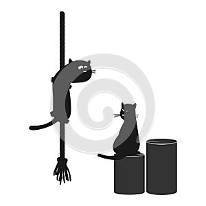 Cats. Loving cats. Curious cat on a rope, hides and looks. Printer stickers, pets