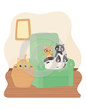 Cats make me happy, kittens in sofa and cat in wicker basket