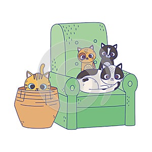 Cats make me happy, kittens in sofa and cat in wicker basket