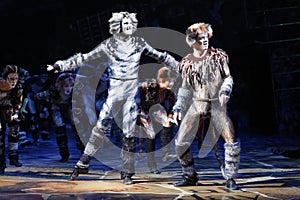CATS Musical