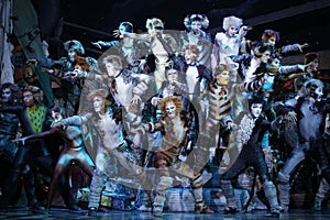 CATS Musical