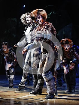 CATS Musical