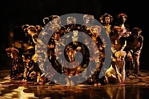 CATS Musical