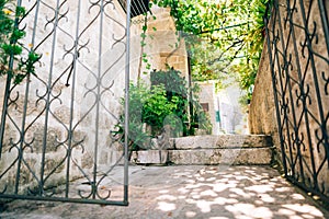 Cats in the old town of Budva, Kotor, Dubrovnik. Croatia and Mon