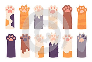 Cats palms. Cat paws with claws, cartoon pets paws-up cute furry kittens hands, drawing kitty hunter paw design leg or