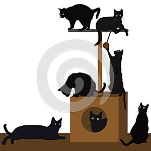 Cats playing or resting in a cat house