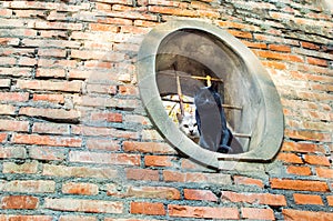 Cats red brick oval window