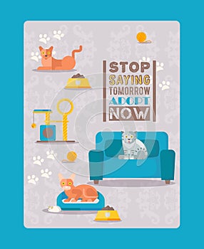 Cats result, stop saying tommorow adopt now vector illustration. Template flyer animal shelter, take strat cat home, pet photo