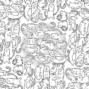 Cats seamless pattern