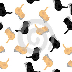Cats seamless pattern