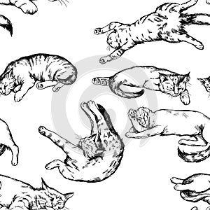 Cats seamless vintage vector black and white hand drawn  background