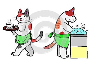 Cats serving coffee,washing dishes. photo