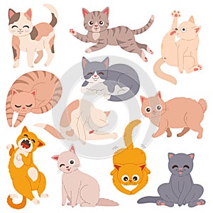Cats set flat design simple vector illustration