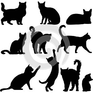 Cats silhouette shape