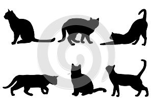 Cats silhouettes collection