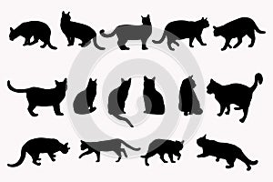 Cats silhouettes in different poses, sitting, walking, standing, isolated on white background. Black cat silhouette