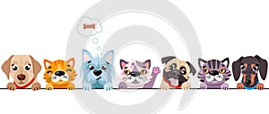 Cats and small dogs border set. Funny dog and cute cat best friends. Happy friendship day.