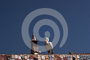 Cats, stork and turtle.