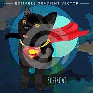 Cats superheroes. SuperCat