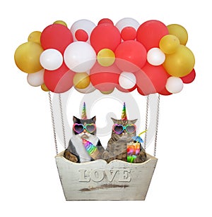 Cats unicorn in a hot air balloon