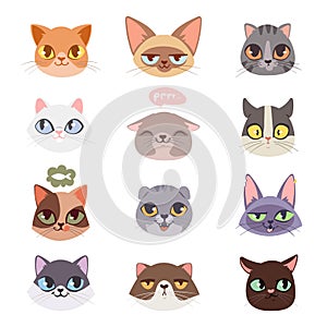 Cats vector heads illustration