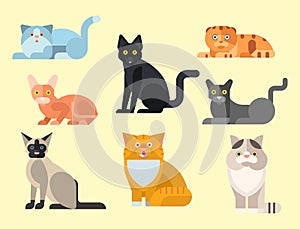 Cats vector illustration cute animal funny decorative kitty characters