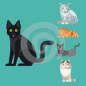 Cats vector illustration cute animal funny decorative kitty characters feline domestic kitten trendy pet drawn