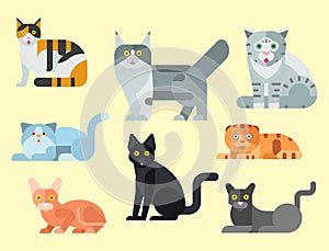 Cats vector illustration cute animal funny decorative kitty characters feline domestic kitten trendy pet drawn