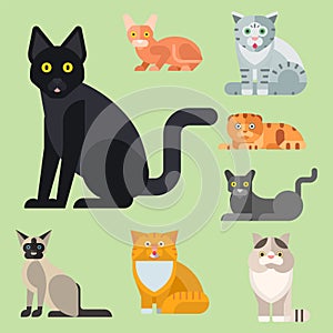 Cats vector illustration cute animal funny decorative kitty characters feline domestic kitten trendy pet drawn