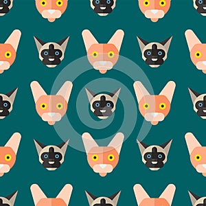 Cats vector illustration cute animal seamless pattern funny decorative kitty characters feline domestic trendy pet