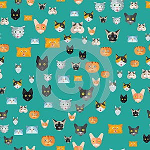 Cats vector illustration cute animal seamless pattern funny decorative kitty characters feline domestic trendy pet