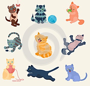 Cats vector set collection different cats kitty kitten play in defferent pose character illustration