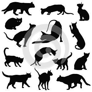 Cats vector silhouettes collection
