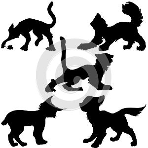 Cats, Vector template, Black and white