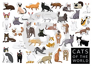 Cats of the World Set Cartoon Vector Character