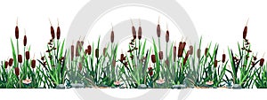 Cattail border. Seamless pattern of swamp reed plants, pond and river botany background. Vector strip print of bulrush