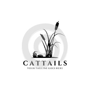Cattail grass logo vector illustration design, flat vintage, vintage design , cattails logo , bullrush logo