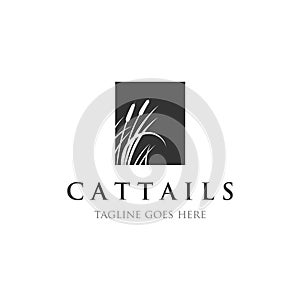 Cattails logo designs inspirations