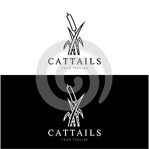 cattails or river reed grass plant logo design, aquatic plants, swamp, wild grass vector