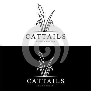 cattails or river reed grass plant logo design, aquatic plants, swamp, wild grass vector