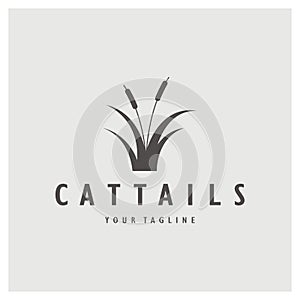 cattails or river reed grass plant logo design, aquatic plants, swamp, wild grass vector