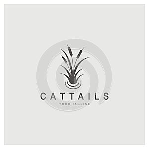 cattails or river reed grass plant logo design, aquatic plants, swamp, wild grass vector