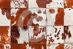 Animal Leather Skin Hides Squares Closeup Detail photo
