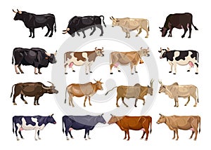 Cattle breeding set