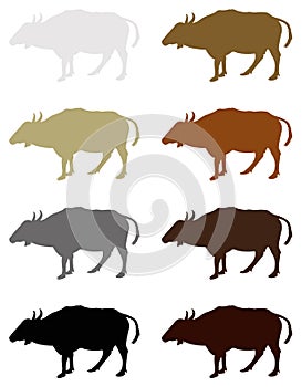 Cattle or cow silhouette