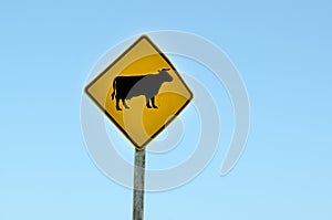 Cattle crossing - Road sign