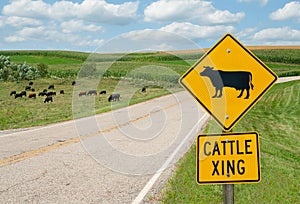 Cattle Crossing Sign