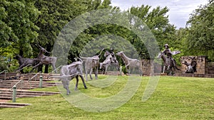 `Cattle Drive` by Anita Pauwels, part of  a public art installation in Central Park in Frisco, Texas.