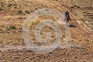 Cattle drive near the Hole-in-the-Wall country of Wyoming.